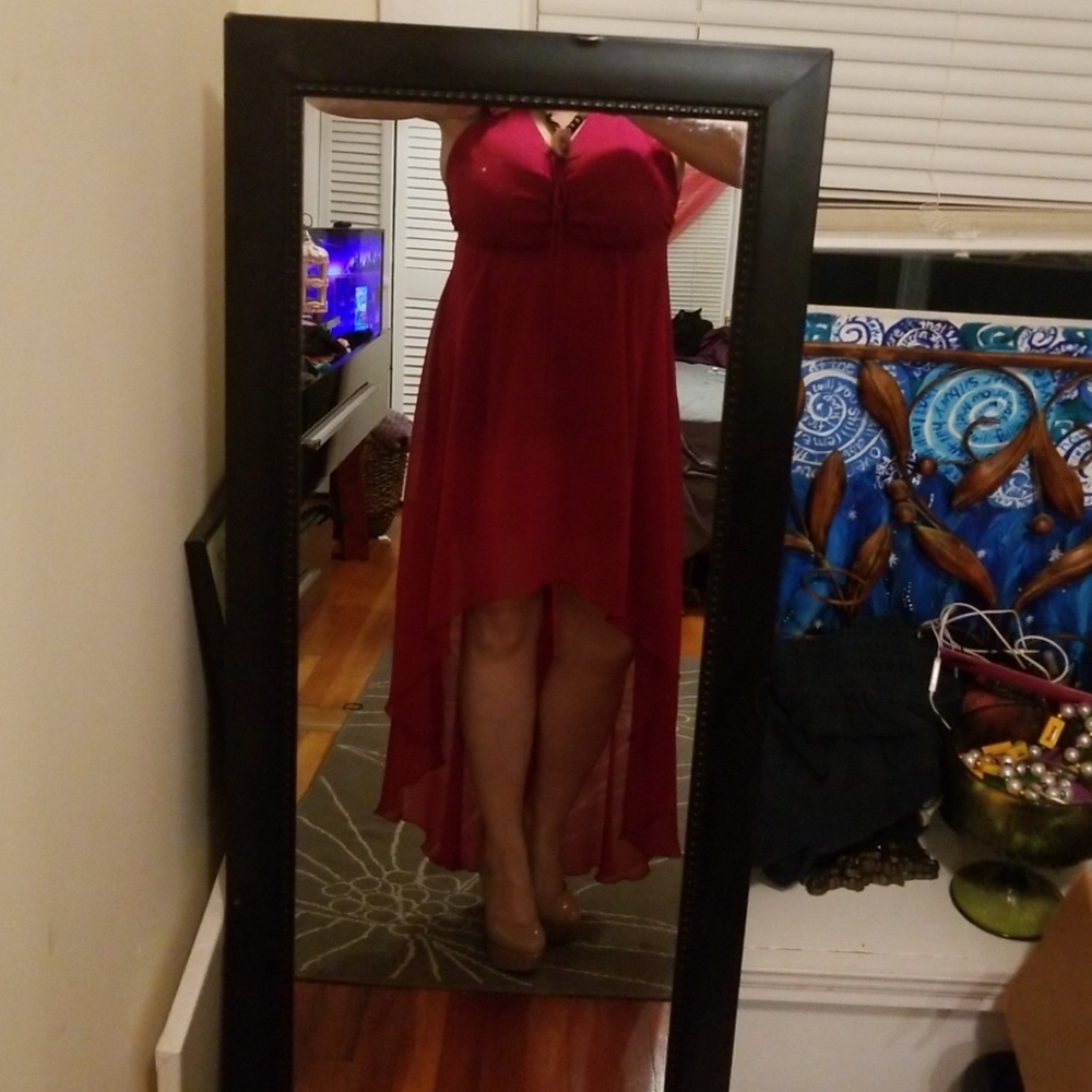 GORGEOUS Express Date Night Dress